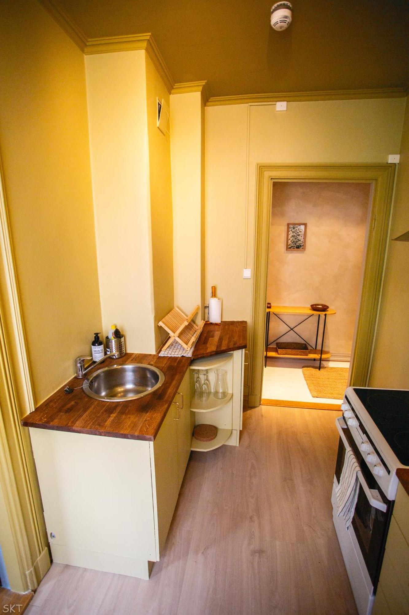 Charming 1800s W Fireplace And Free Parking Lejlighed